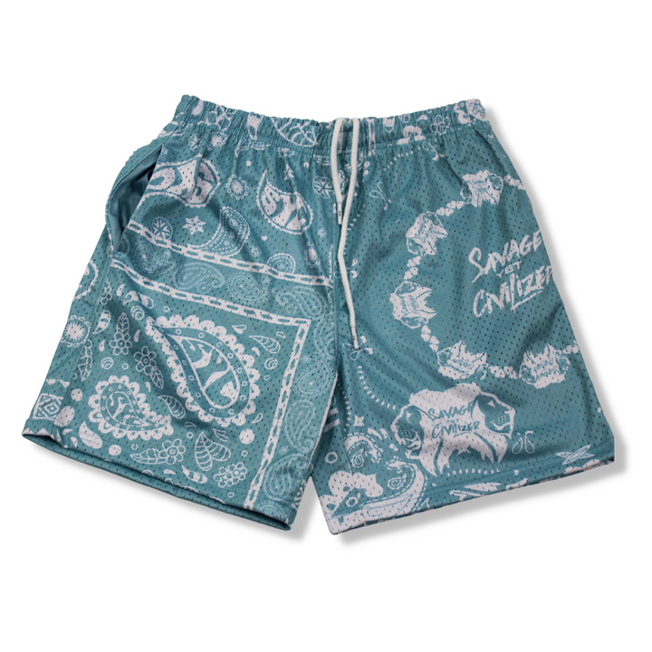 *NEW*SYC Paisleys Mesh Shorts "frosted mint"