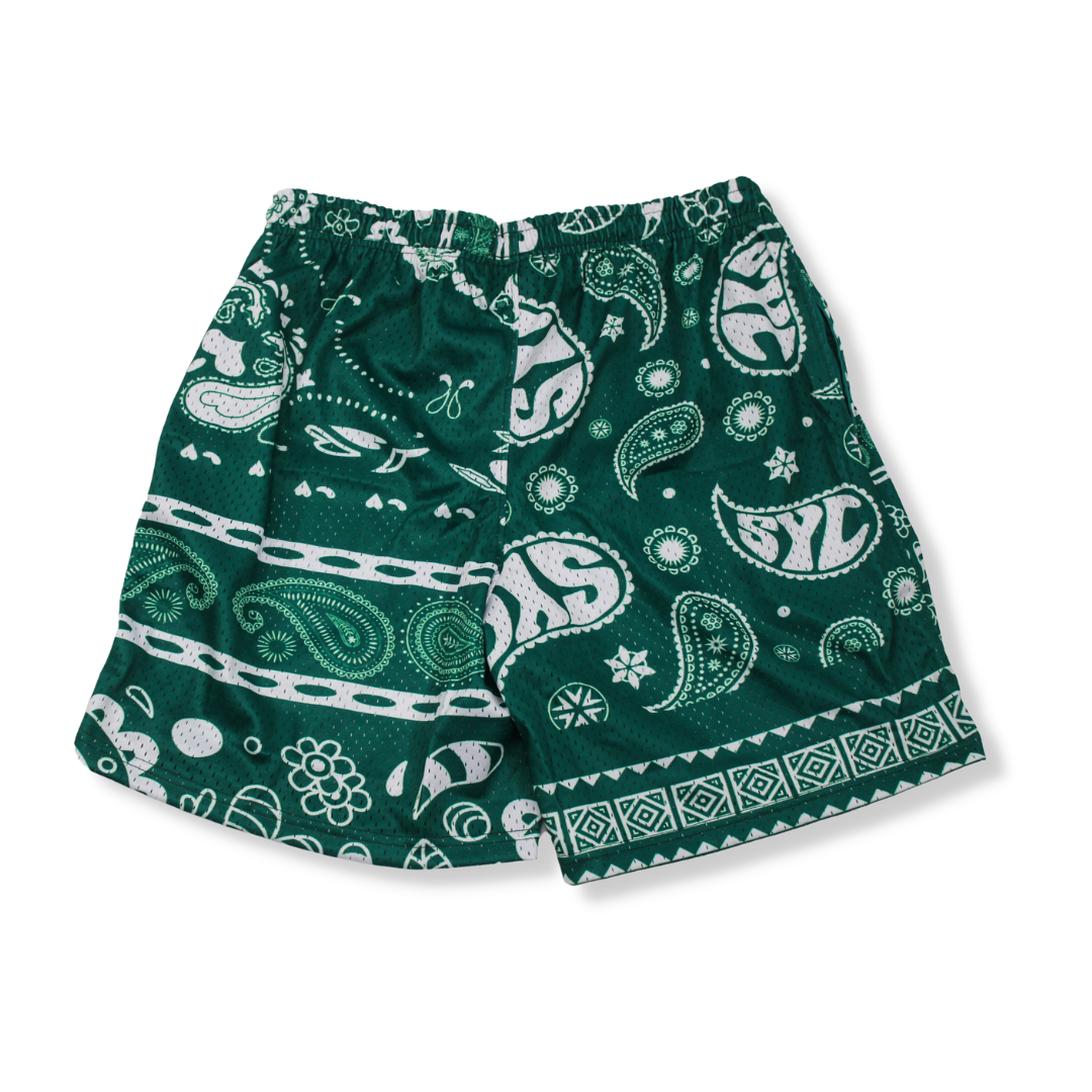 *NEW*SYC Paisleys Mesh Shorts "Green"